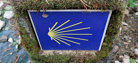 Camino de Santiago