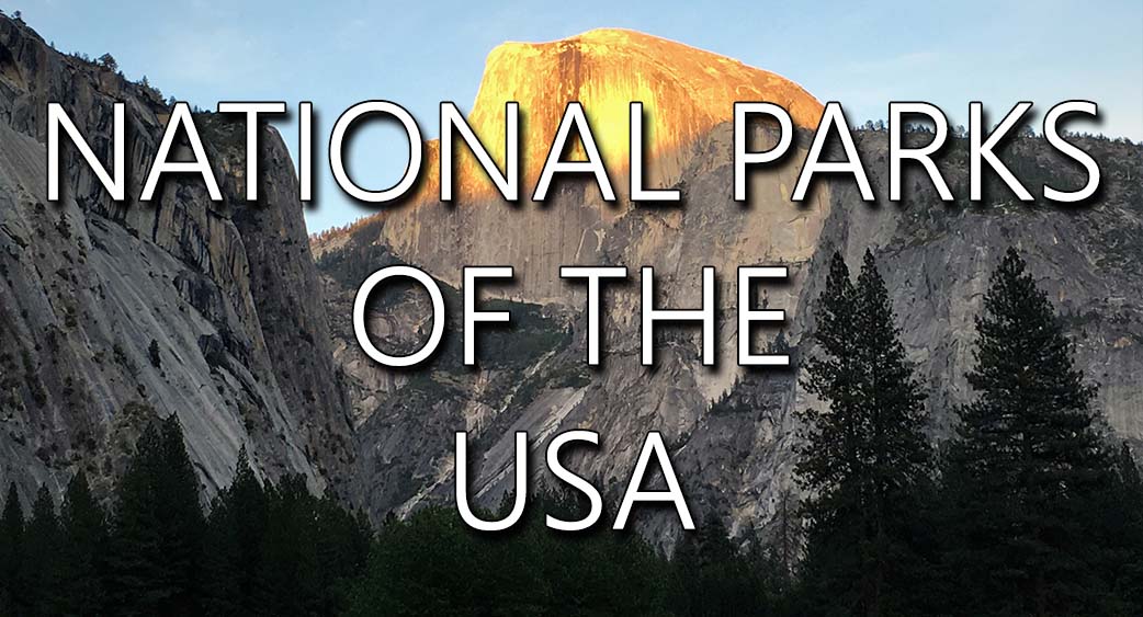 NPS