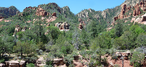 Sedona